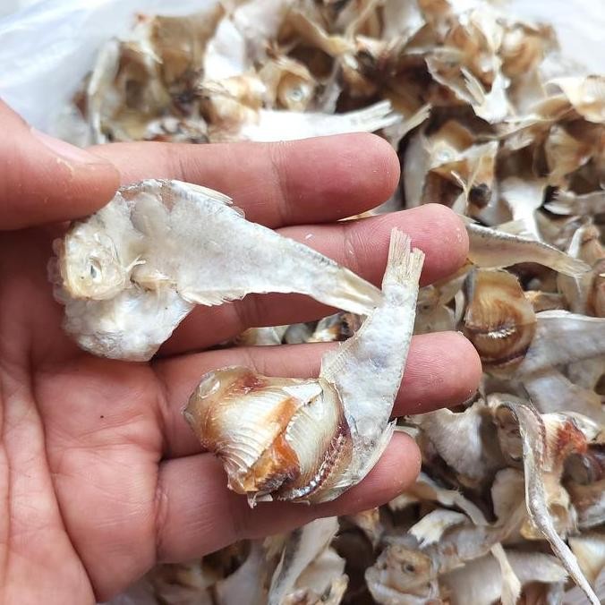 

Ikan Asin Bulu Bebek - Entok Kering 100gr / 250gr / 500gr