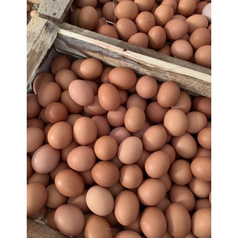 

Telur Ayam Negeri Kiloan 16-17 Butir Surabaya