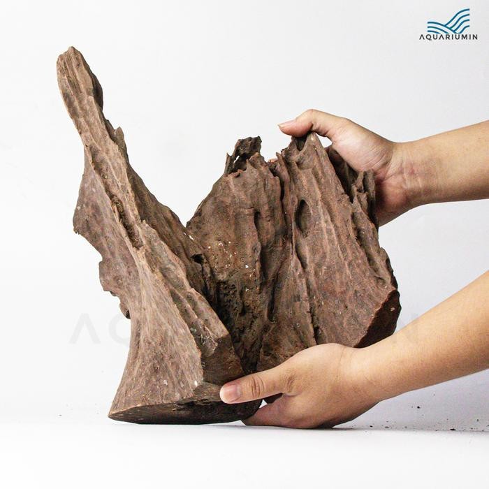 RA Kayu Rentek / Rentek Wood Size XL Aquascape/ Aquarium