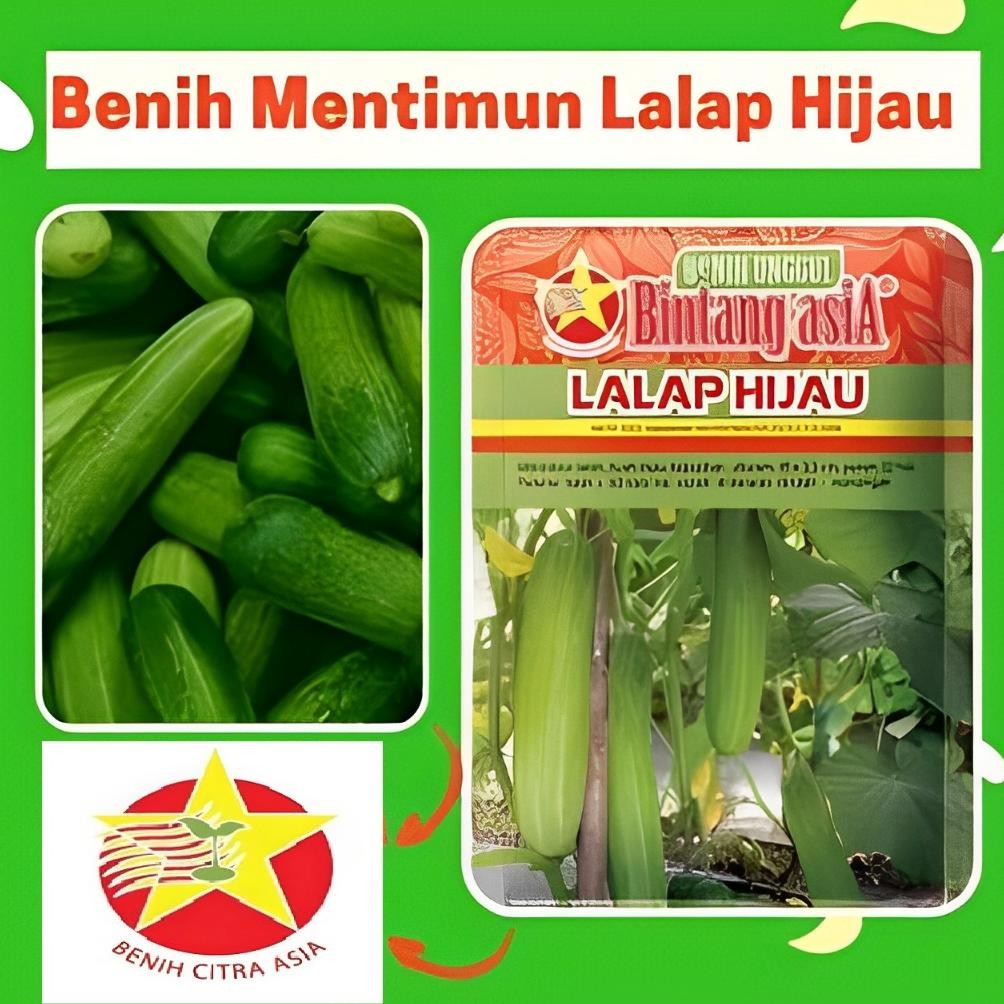 Benih Mentimun Timun LALAP HIJAU 20 Gram Cap Bintang Asia