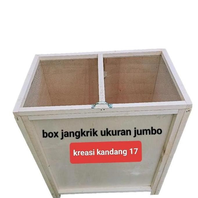 TERLARIS - kandang jangkrik un jumbo / box jangkrik