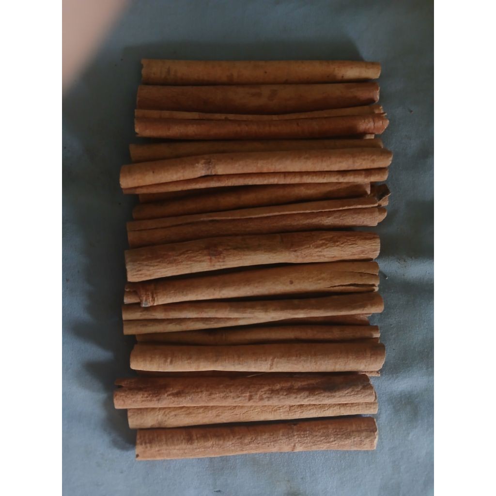 

Kulit kayu manis asli kerinci premiun grade AA 10cm 100gr