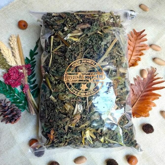 

JH8 Daun ciplukan kering Organik