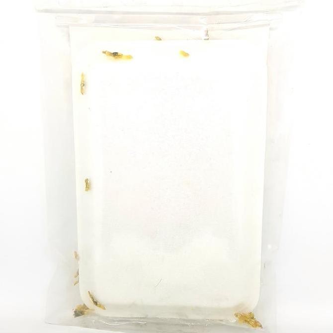 

JH8 MITRA GRINTING LORJUK 150gr | LURJUK LORJU LURJU HASIL LAUT KHAS