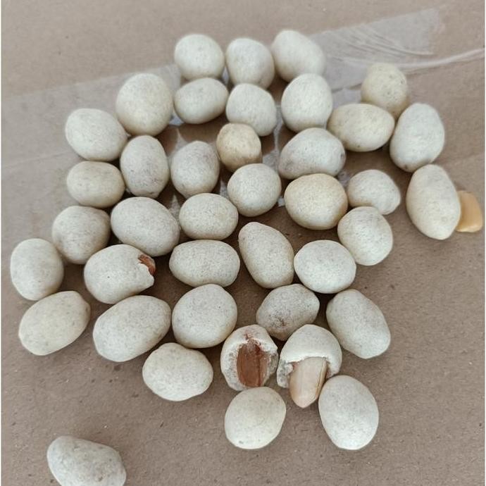 

Kacang shanghai OKE 225 gram