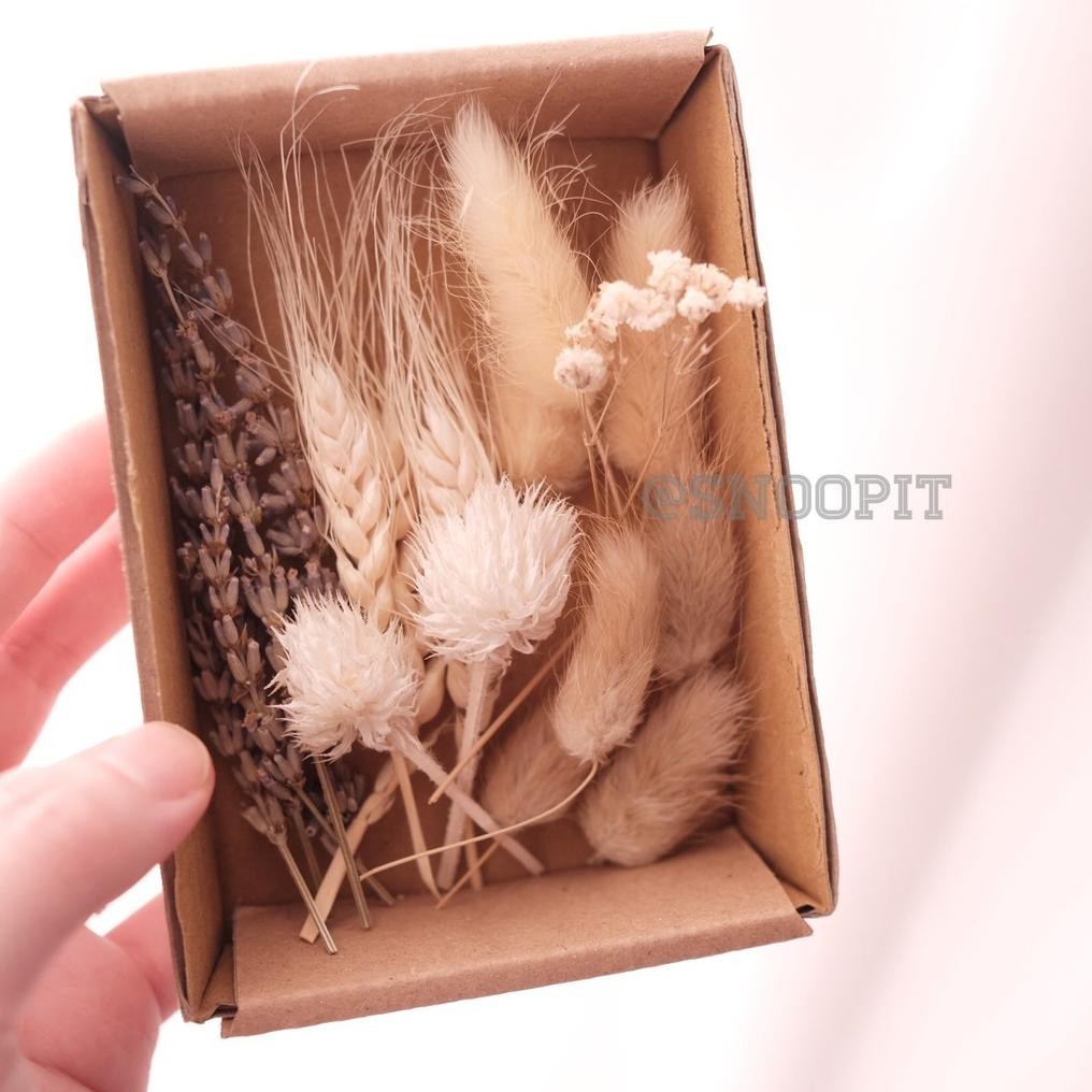

Dried flower prakarya kerajinan tangan scrapbook DIY hiasan kartu dekorasi craft gift birthday DiM