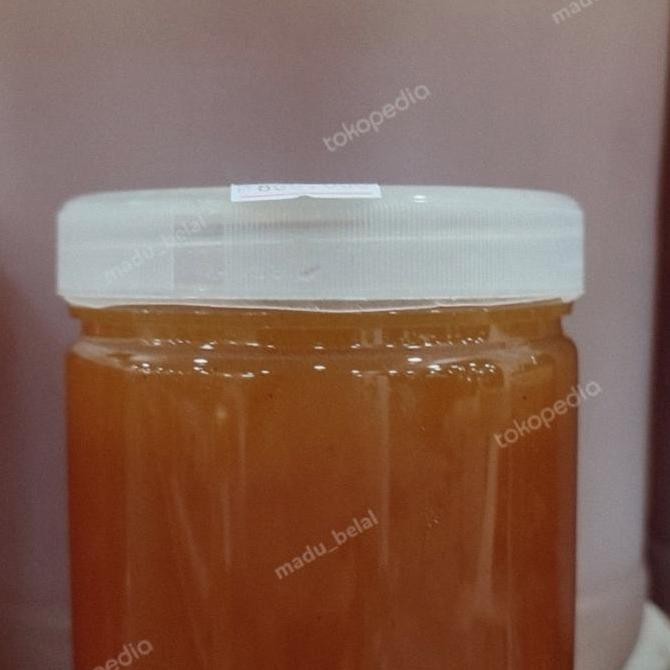 

NEW MADU YAMAN SIDR BAGHIYAH nomor 1 Murni 500gr READY