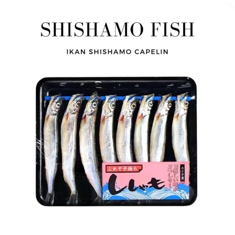 

Kuke Ikan Shisamo / Ikan Cipung / Capelin / Ikan Telor - 150G / Expedisi Instant Dalam Kota Saja Im31