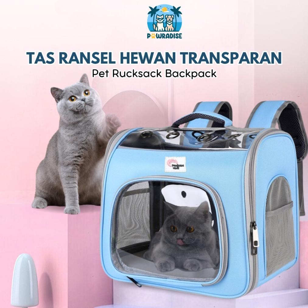 Tas Ransel Hewan Transparan - Travel Bag Anjing Kucing Jumbo - Pet Rucksack Backpack / Anabul Carrie