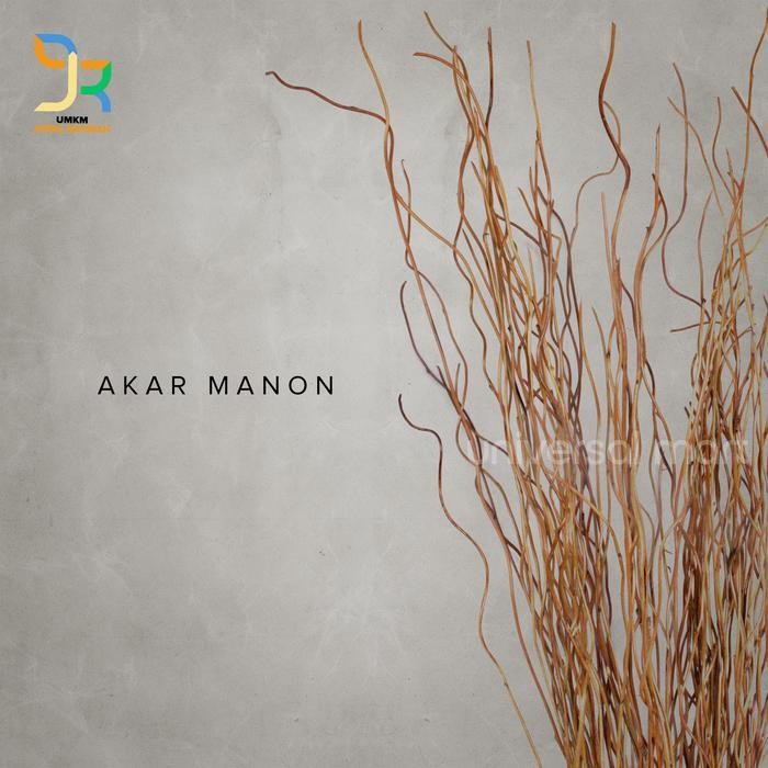Akar Manon Kering Untuk Dekorasi Property Rumah Perlengkapan Pesta
