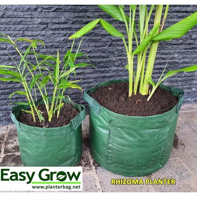 Rhizoma Planter Bag Size L Merk Easy Grow - Pot Jahe - Planter Jahe