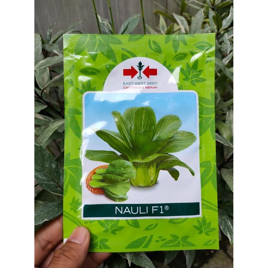 

Pakchoy Hijau Nauli - Pakchoy Nauli 10 Gram