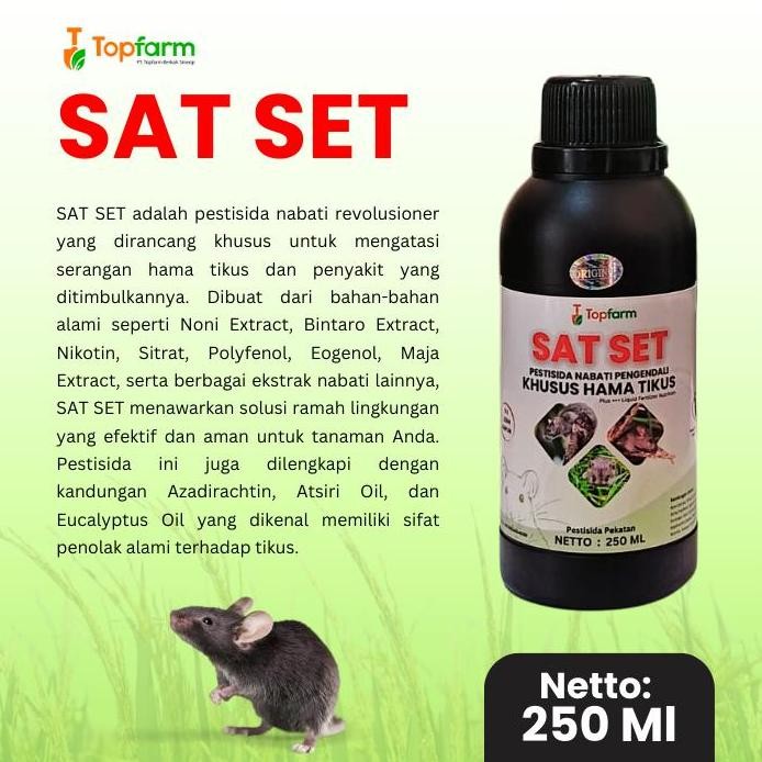 Obat Pengusir Tikus Sawah / Obat Tikus Untuk Di Sawah / Obat Tikus Paling Ampuh / Obat Tikus Yg Ampu
