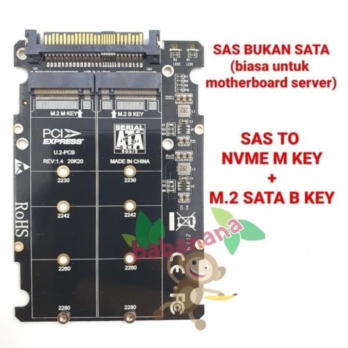 TERBARU - Sas to nvme m key + m.2 sata b key adapter converter ssd