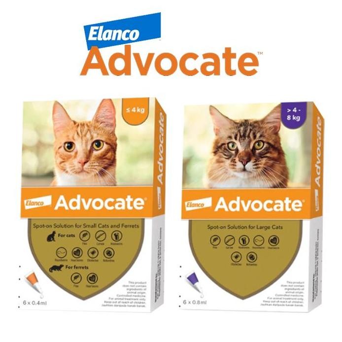 ADVOCATE Cat Elanco Obat Kutu Kucing Advocate