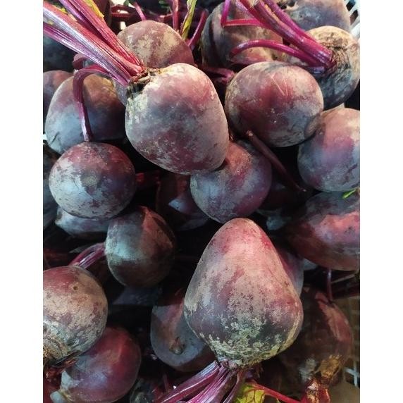 

_Kecil_ Buah Bit 1 Kg Lea