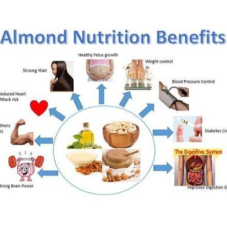 

Cri Almond Panggang Original (Roasted Almond Plain) 1Kg