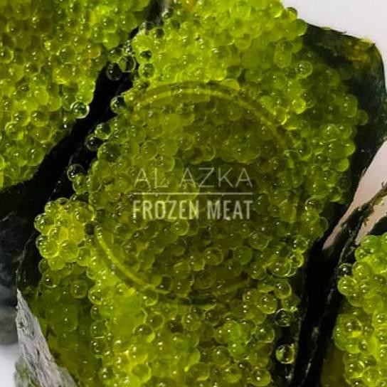 

Tobiko Wasabi Tobiko Hijau Telur Ikan Terbang Hijau 100 Gram