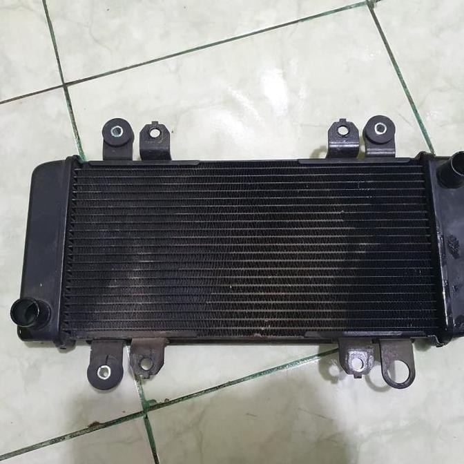 Radiator Motor Kawasaki Ninja 250 Fi Karbu Z250 Versys 250 | Copotan