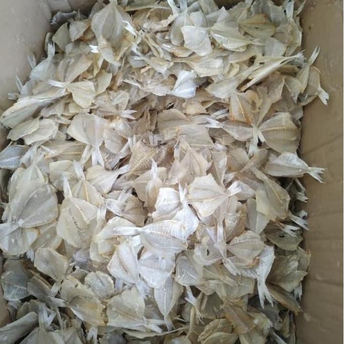 

Ikan Asin Kapas Super 100Gr