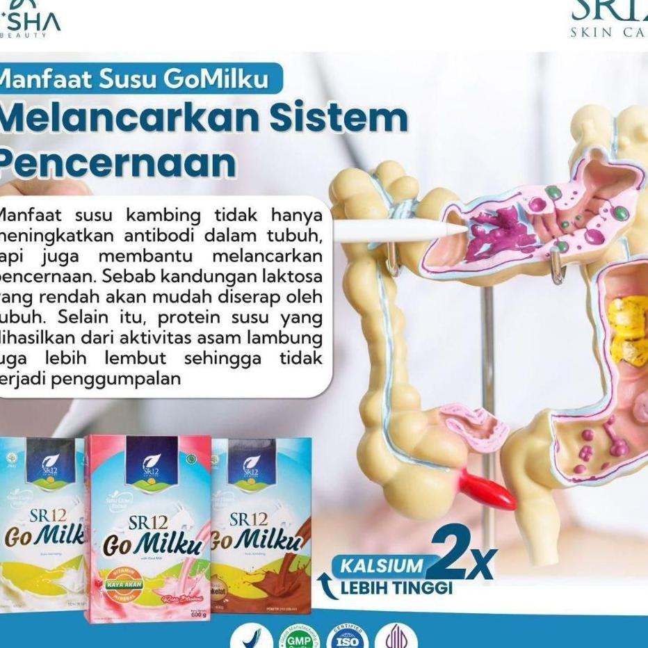 

Susu Go Milku Sr12 Susu Kambing Etawa Bubuk Kualitas Halal Terbaik Untuk Kesehatan Dan Imunitas Promil Bumil Busui Per Anak