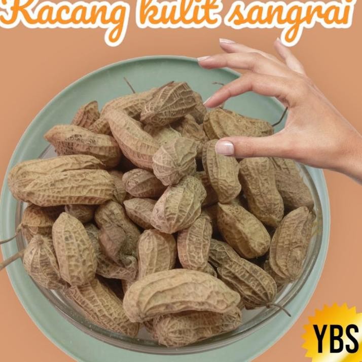 

Kacang Kulit Sangrai 1Kg