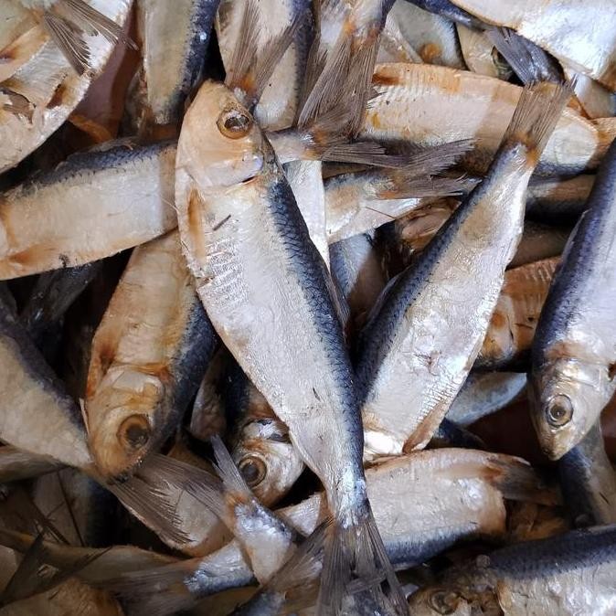 

Ikan asin tamban 1 kilo / tembang / juwi