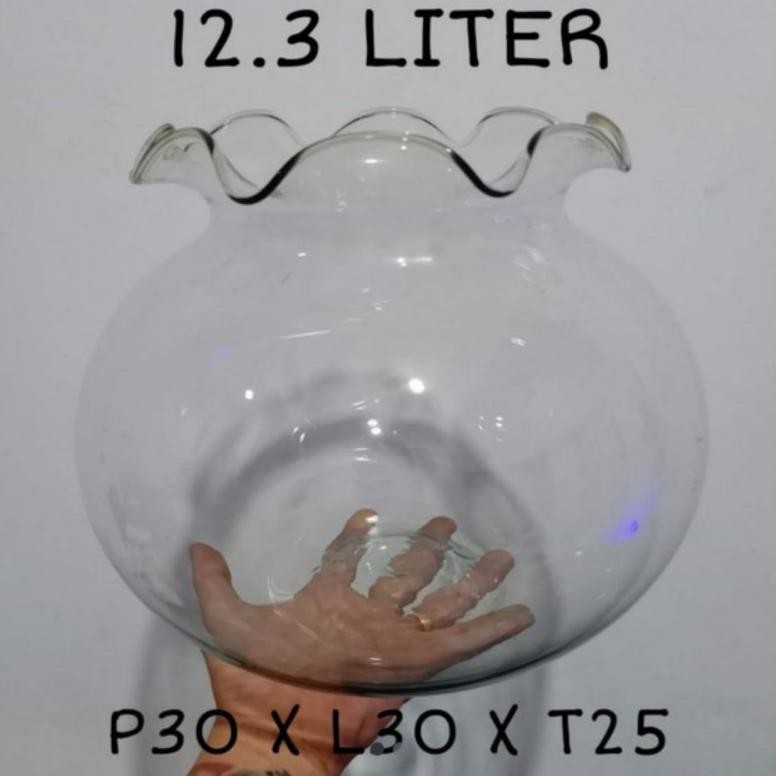 AQUARIUM BULAT KACA 12.3L AQUARIUM HIAS AQUARIUM CUPANG AQUASCAPE