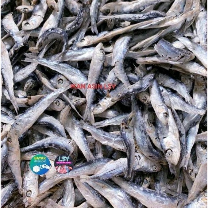 

ikan asin lesi rebus kecil super 500gram