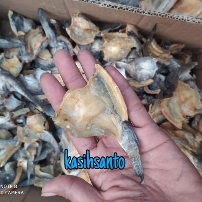 

ikan asin Gabus baby-500gram