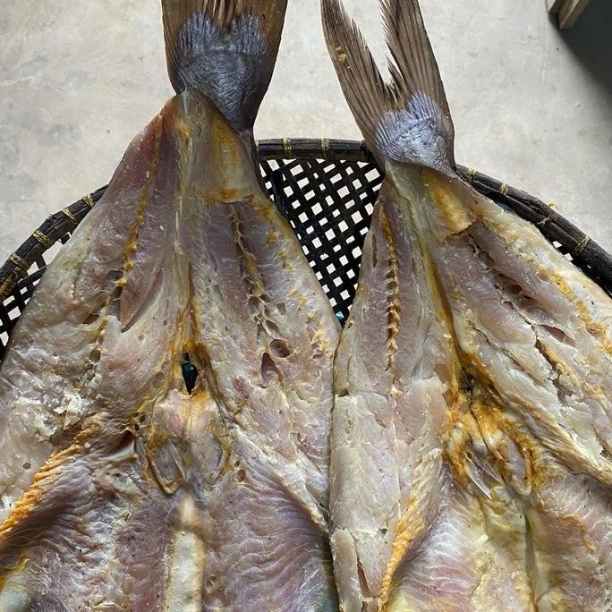 

Ikan asin jambal roti padat dari ikan manyung