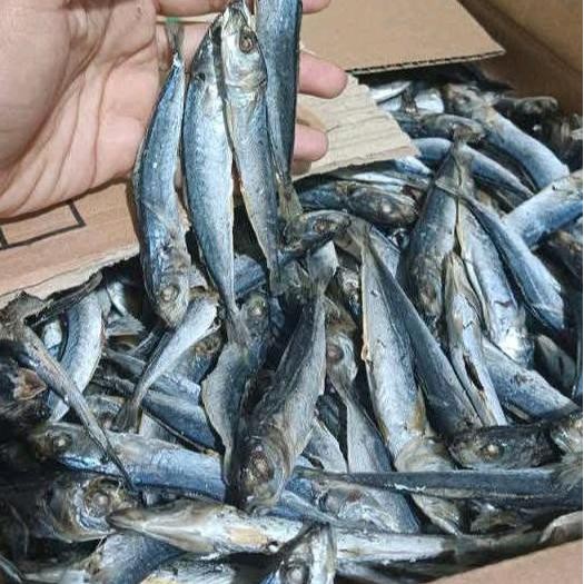 

Ikan Asin Rebus Layang 500 Gram ( 1/2 Kilogram )