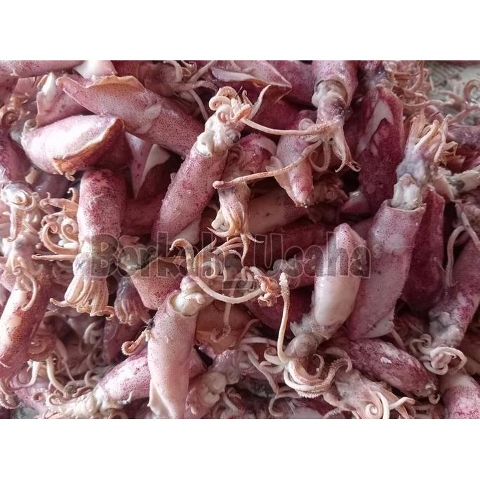 

IKAN ASIN CUMI ASIN REBUS UKURAN 4-6cm 250gram