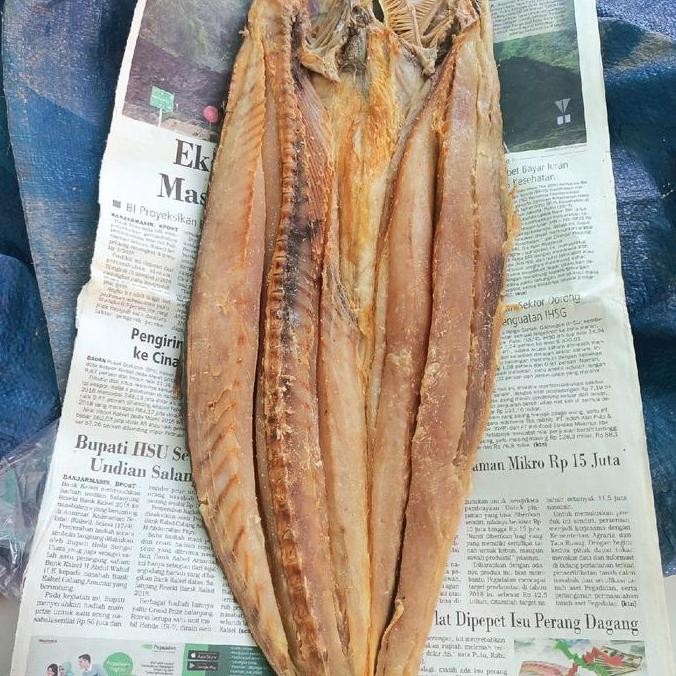 

ikan asin asli tabanio fress dari kapal