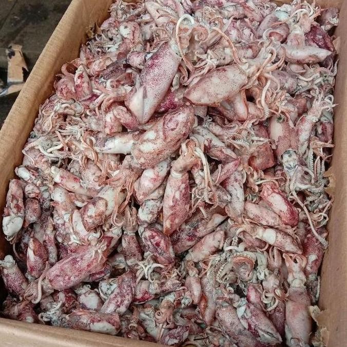 

Monggo Buy 5 Get 5 !!! produk ikan asin cuman 50.000 aja ikan asin kualitas premium murah tapi ga murahan udah pasti produk unggul Organik