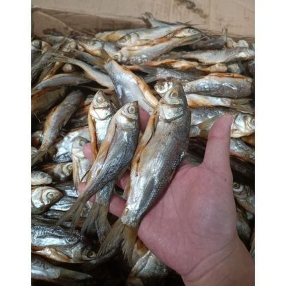 

Ikan Asin Hobb Nilem 1 Kg Gram Lezatnya Cita Rasa Tradisional dalam Setiap Gigitan