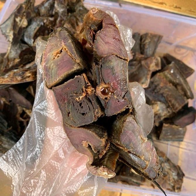 

ikan asin tongkol khusus daging