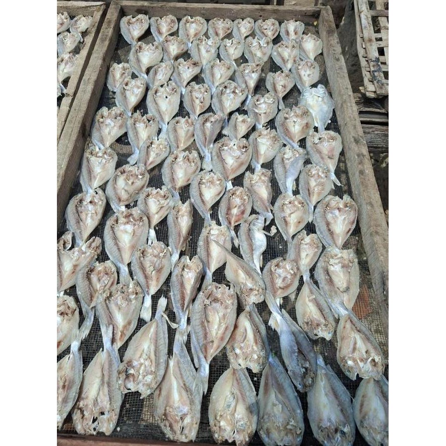 

IKAN ASIN GULAMA/KEPALA BATU BELAH GURIH NIMAT 250 gr, 500gr, 1000gr