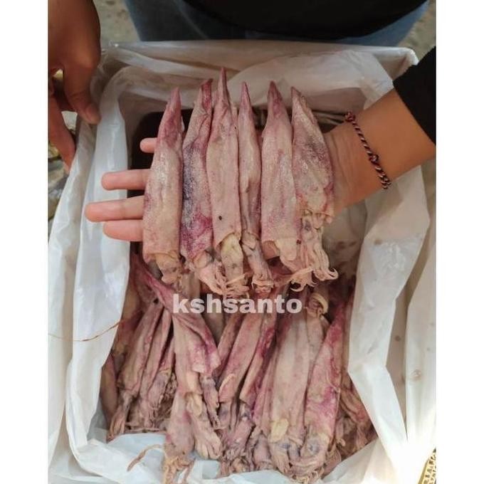 

ikan asin cumi panjang-500gram