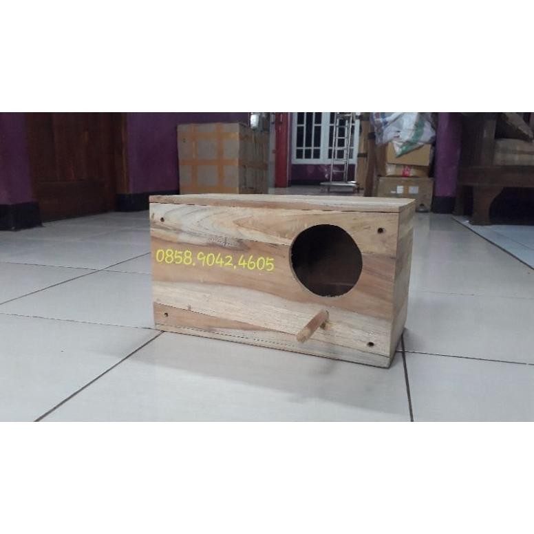 Glodok burung jalak bali jalak hongkong jalak suren DiM