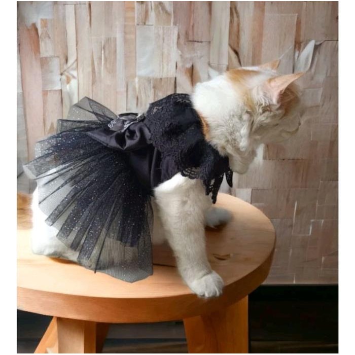 [Migo Design Limited Edition 41] Baju Dress Kucing Anjing Hitam Rok Tutu Pesta Mewah Halloween / Pak