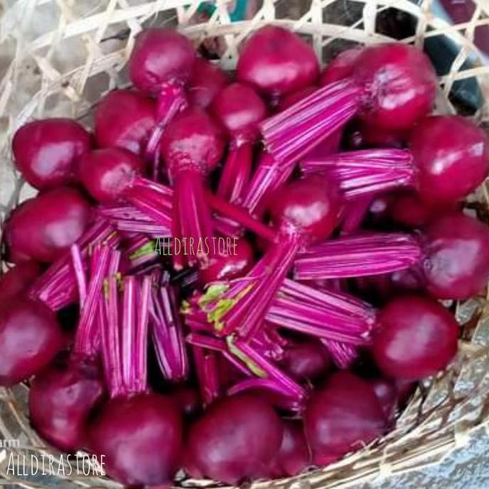 

LM buah bit /beet root fresh 1kg