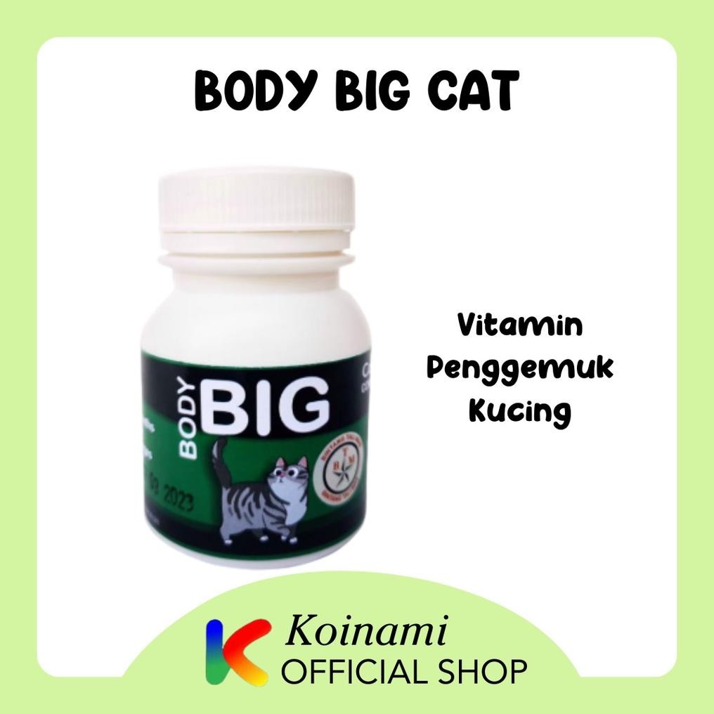 BODY BIG CAT / PENGGEMUK KUCING / VITAMIN BULU KUCING / CAT FATER POWDER / vitamin kucing  / BIG BOD