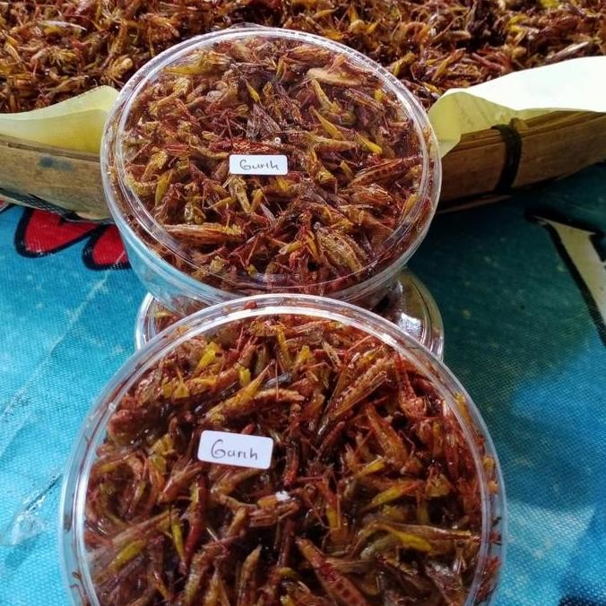 

Cemilan Belalang Utis Kecil Goreng/Simeut Goreng Harga 25Rb An Aja Snacks Food Makanan