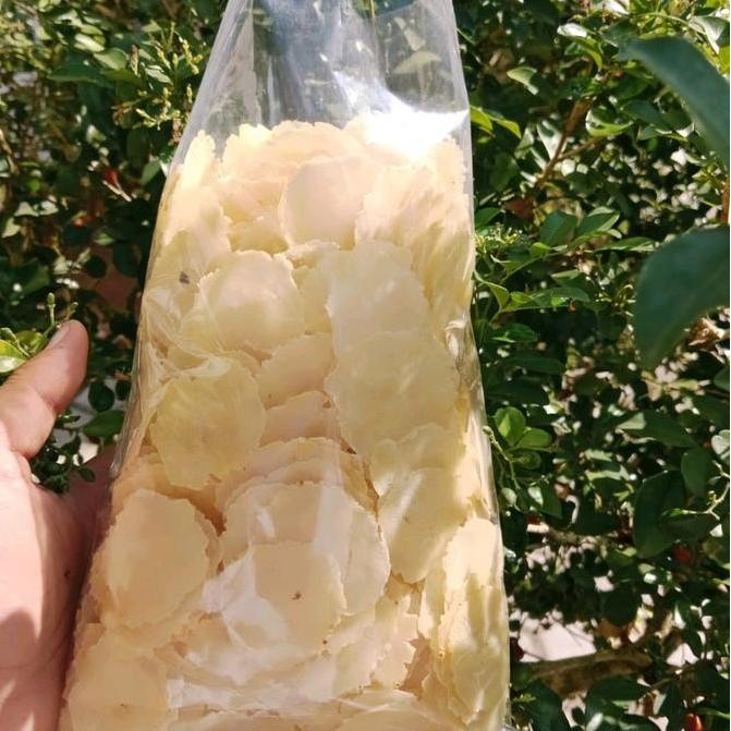 

Emping Melinjo 500 Gr Tanpa Sortir Asli Kebumen - Makanan Ringan, Cemilan Food Snacks Kerupuk Goreng