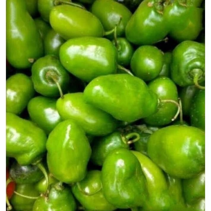 

Berkualitas Tinggi Cabe Gendot Bandung Segar Dan Super Pedas 1000Gr