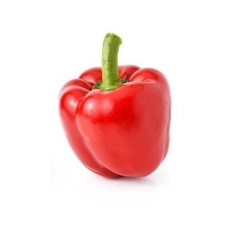 

Kualitas Tertinggi 250Gr - Cabai Bandar Sayur [ Cabe Rawit Merah - Hijau / Cabe Keriting Merah -Hijau / Cabe Besar Tw Merah-Hijau / Cabe Tanjung Merah / Cabe Gendot / Paprika Merah-Hijau-Kuning]