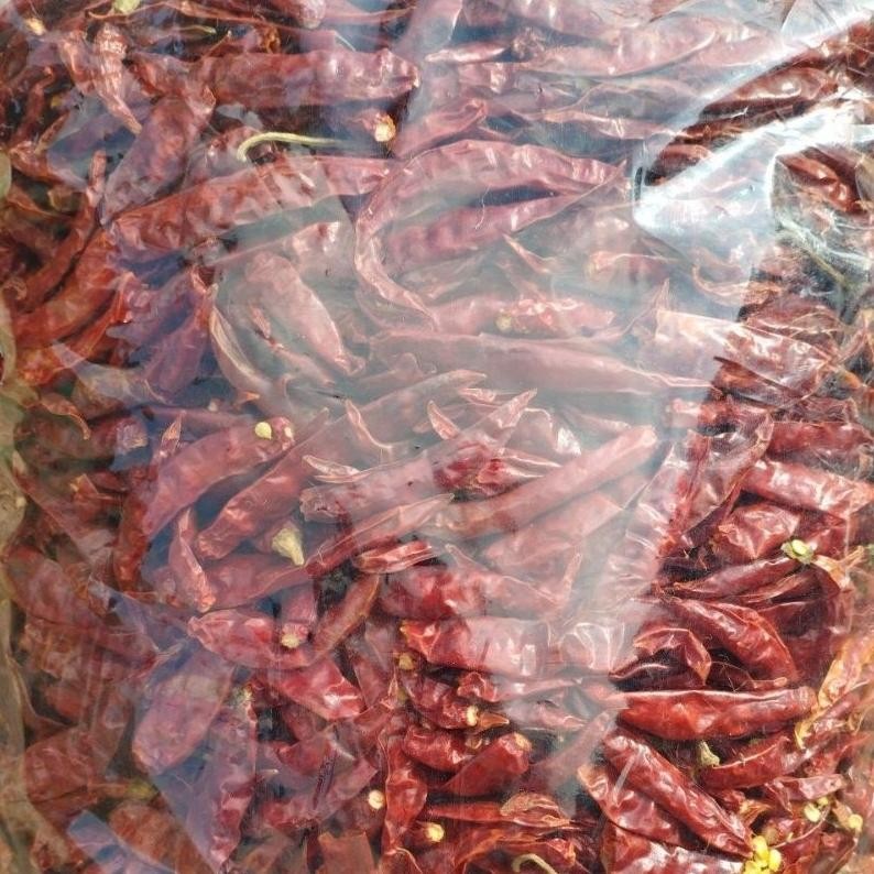 

Praktis 1Bal Isi 5Kg Cabe Rawit Teja Kering (Premium) No.1 Grade A Pedas Alami /Harga Hemat