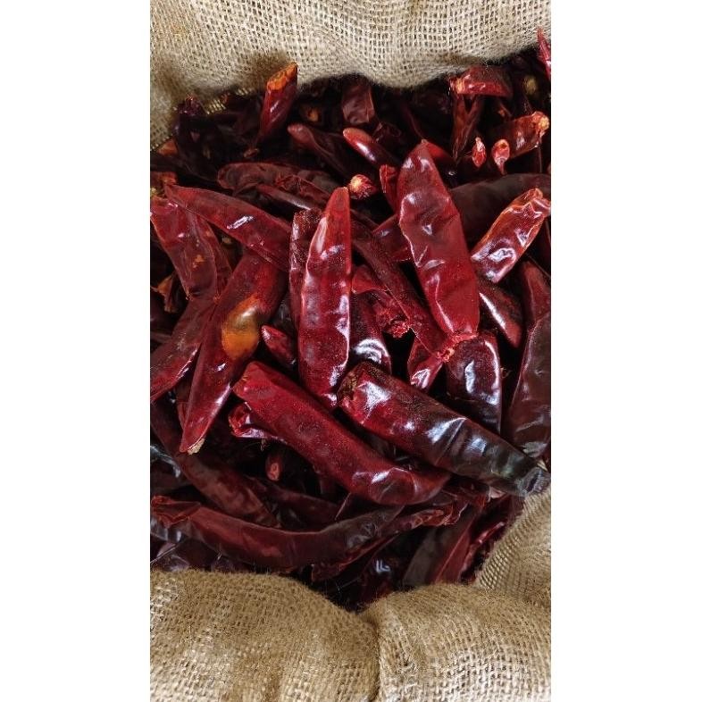 

Keuntungan Cabe Merah Besar Wonder Hot /Tidak Pedas Paket 1Kg