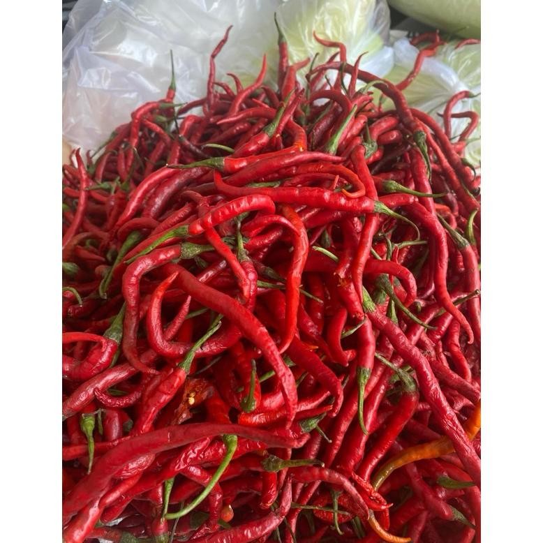 

Terbaru Cabe Merah Kriting 1 Kg Murah Meriah